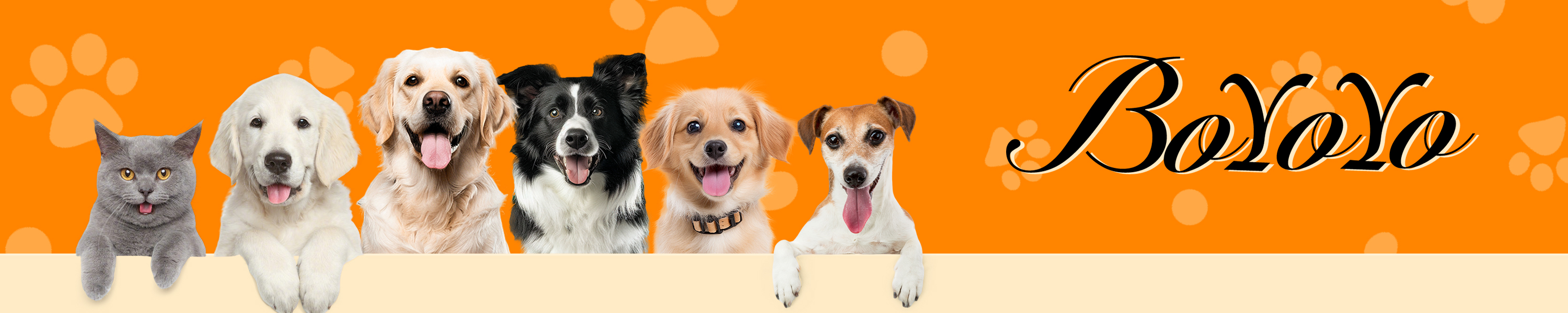 BoYoYo Dog Enrichment Toy