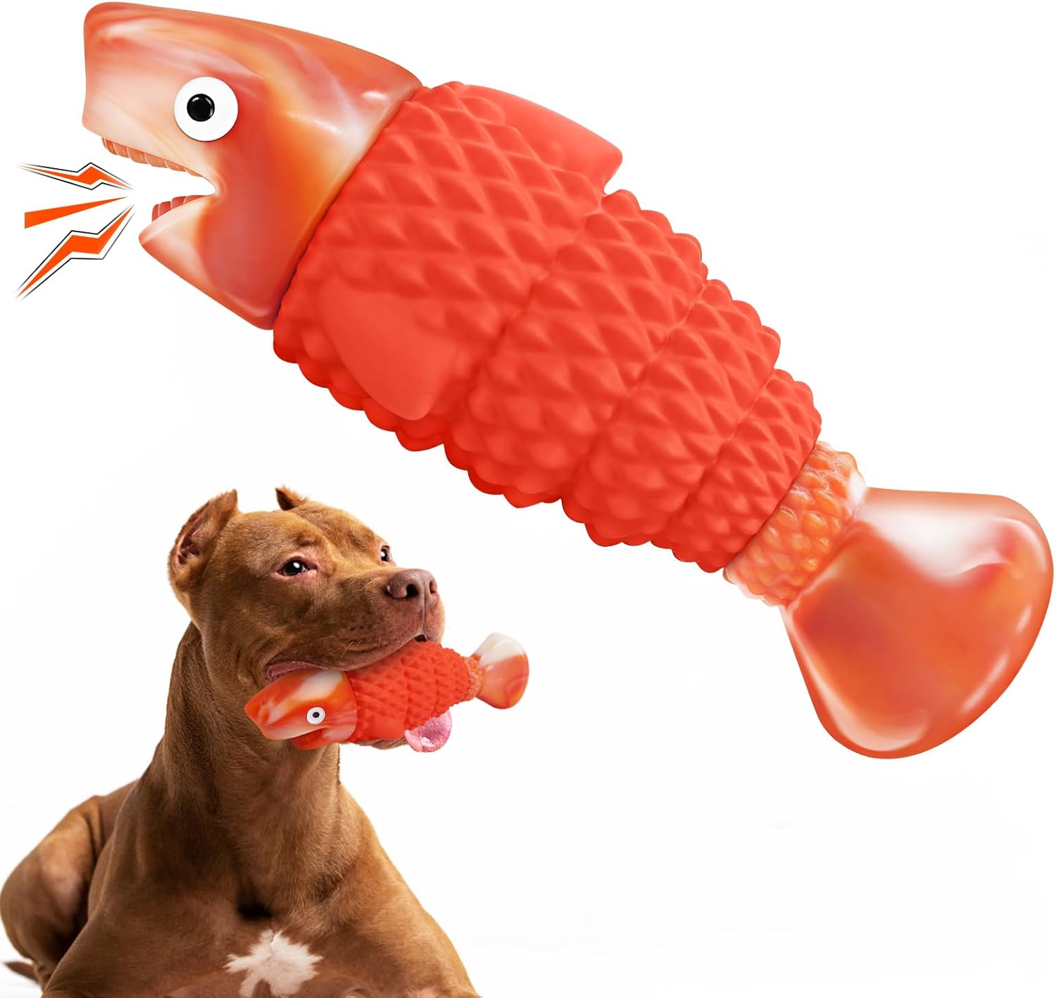 BoYoYo Fish Toy with Dog